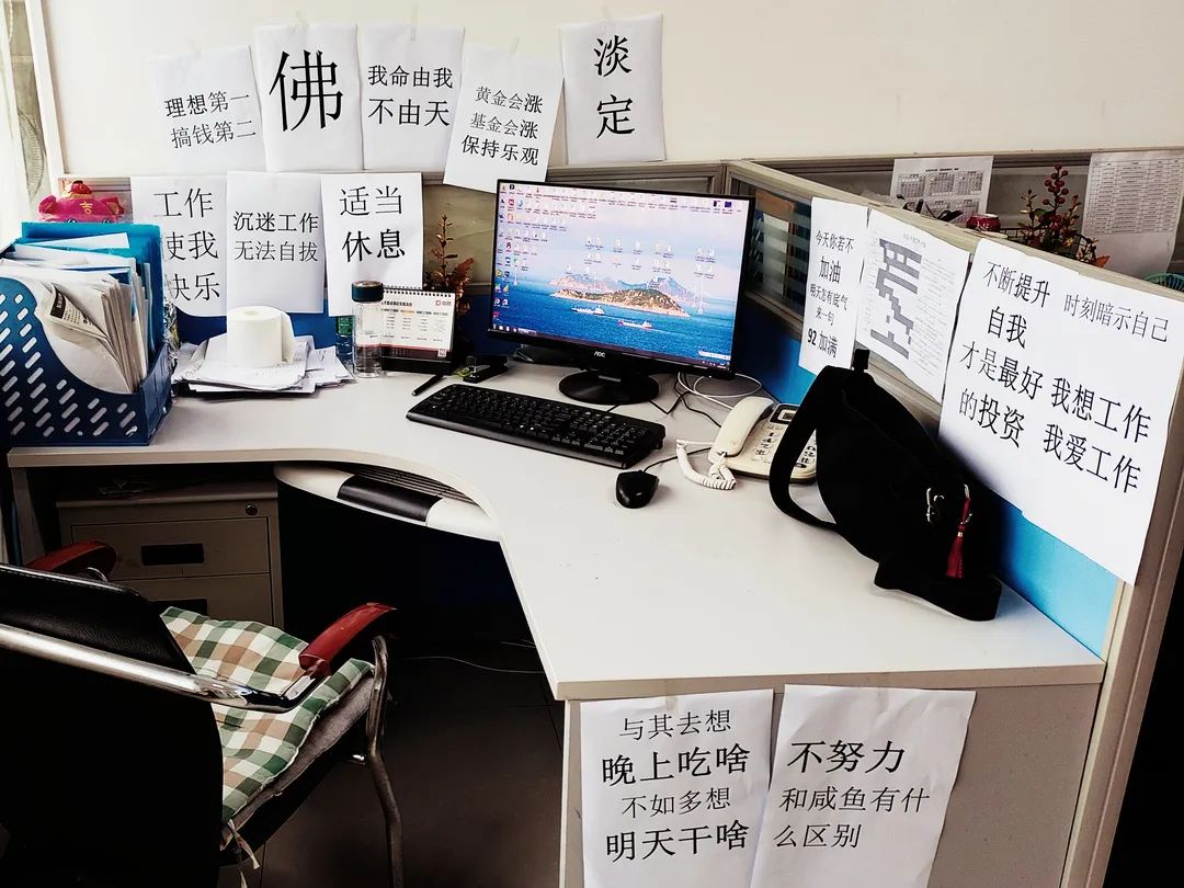 999966生肖内部公开